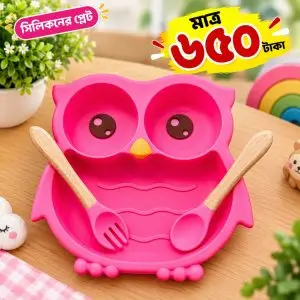 পেঁচা সিলিকনের প্লেট (Silicon Plat)