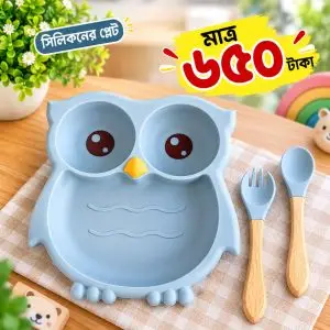 পেঁচা সিলিকনের প্লেট (Silicon Plat)
