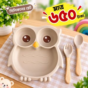 পেঁচা সিলিকনের প্লেট (Silicon Plat)