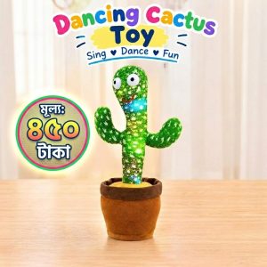 Dancing Cactus Toy